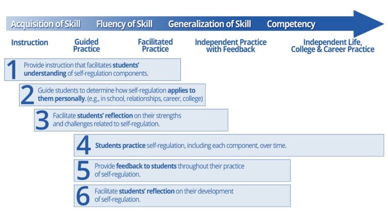 Competency Framework Professional Learning Module Self-Regulation: Part 4